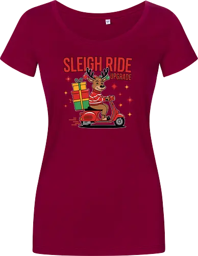 SLEIGH RIDE UPGRADE