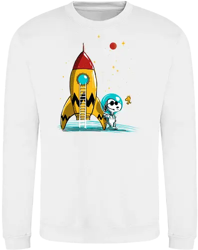 Space explorer