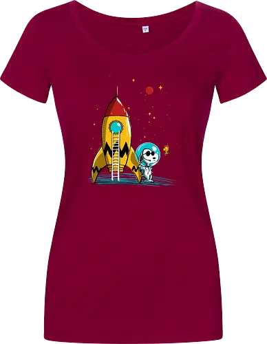 Space explorer
