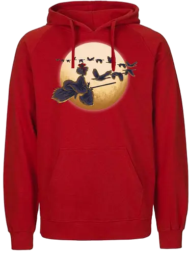 Young Witch Moon - Delivery, Moon, Ducks - Fairtrade Hoodie