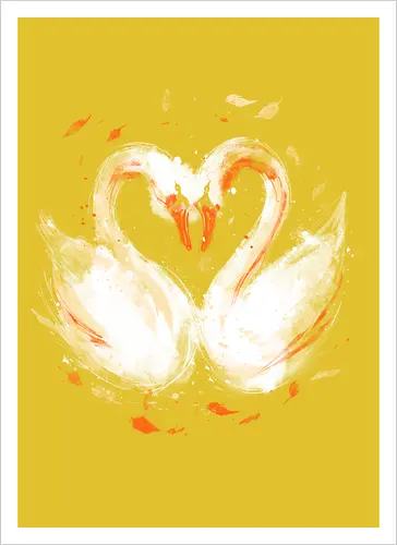 Swans in love