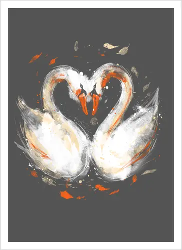 Swans in love