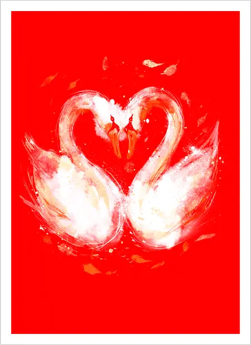 Swans in love