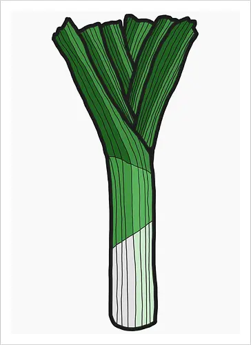 Lauch