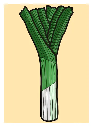Lauch