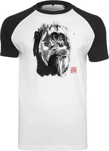 orangutan paper