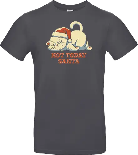 Not Today Santa - Lazy Christmas Cat 