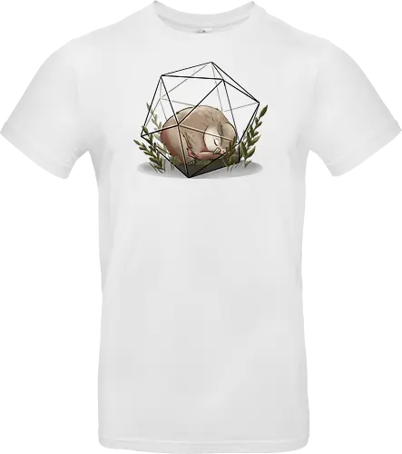 Eulenbär Terrarium