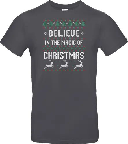 Believe in the Magic of Christmas