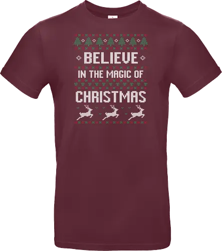 Believe in the Magic of Christmas