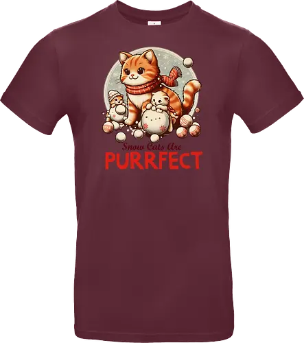 Snow Cats Are PURRFECT
