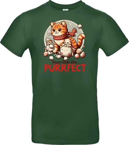 Snow Cats Are PURRFECT