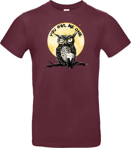 You owl me one