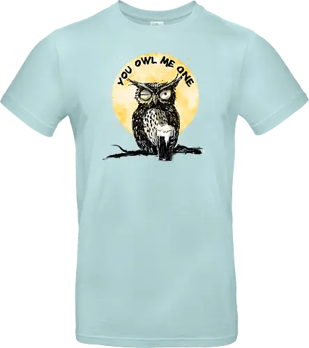 You owl me one
