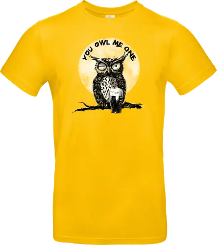 You owl me one
