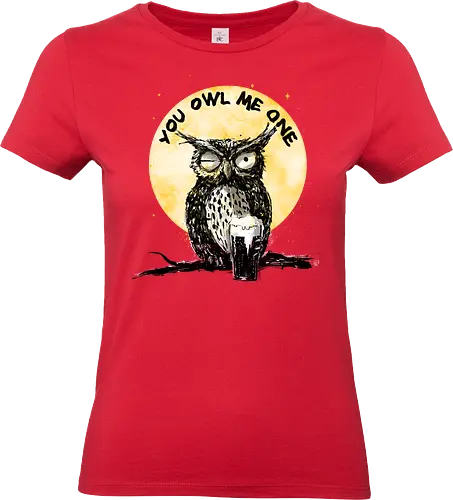 You owl me one - owl, funny, joke, play on words, beer - Standard T-Shirt (Frauen)