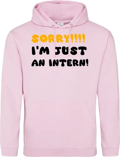 Sorry!!! I'm Just An Intern Art