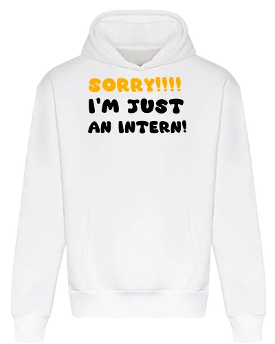 Sorry!!! I'm Just An Intern Art