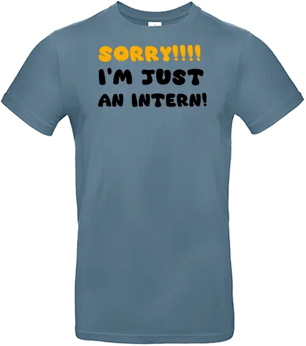 Sorry!!! I'm Just An Intern Art - gaming, anime, nerd, television, joke, meme, vintage, funny quote, funny, memes, funnytee, funny pop, humor, parody, geek - Standard T-Shirt
