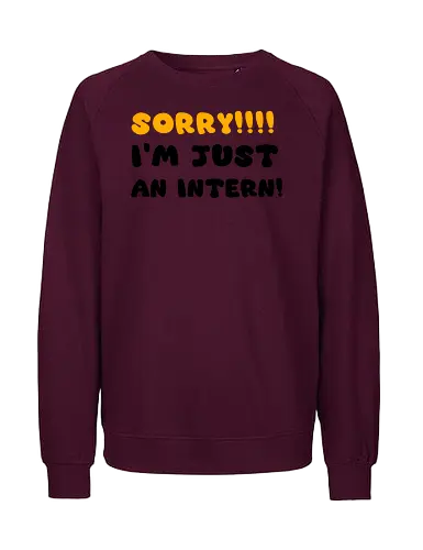 Sorry!!! I'm Just An Intern Art - gaming, anime, nerd, television, joke, meme, vintage, funny quote, funny, memes, funnytee, funny pop, humor, parody, geek - Fairtrade Sweatshirt