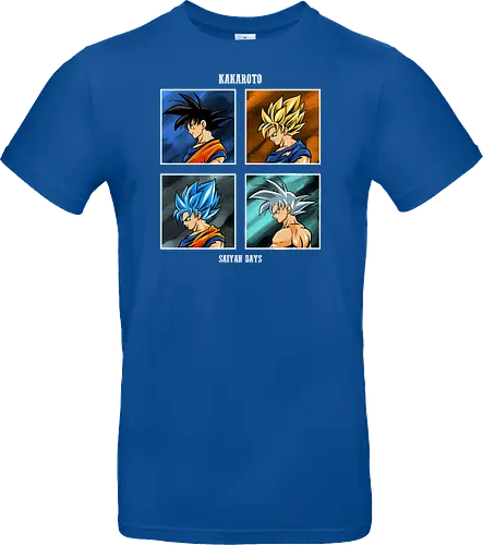 kakaroto form 
