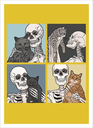 Cats cats