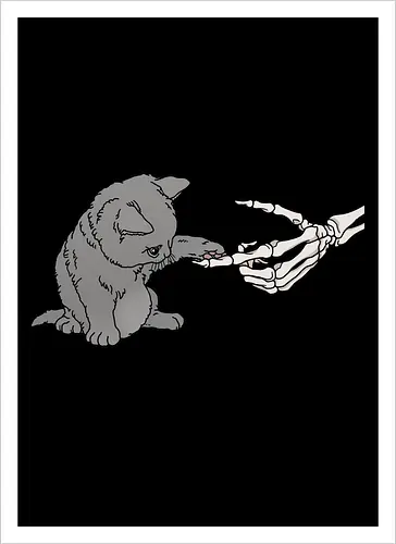 Kitty, kitty