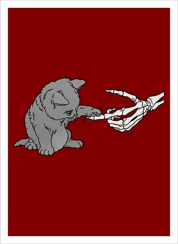 Kitty, kitty
