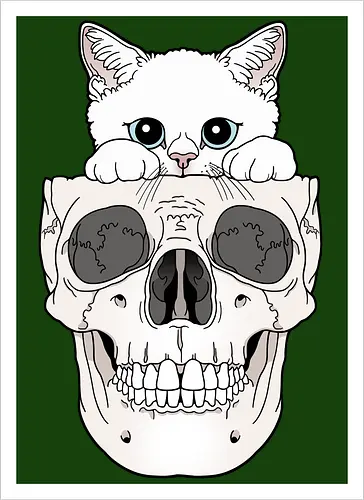 White Kitty & Skull