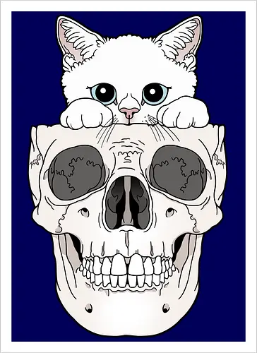 White Kitty & Skull