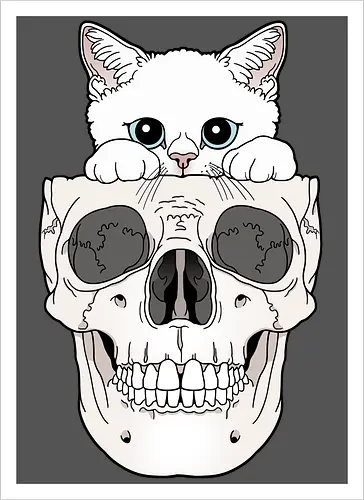 White Kitty & Skull
