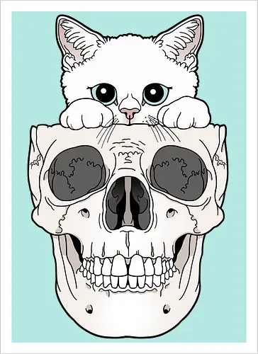 White Kitty & Skull
