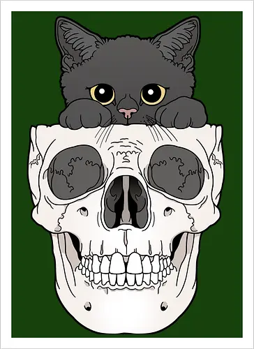 Black Kitty & Skull