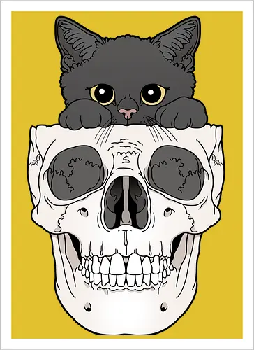Black Kitty & Skull