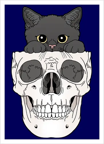 Black Kitty & Skull
