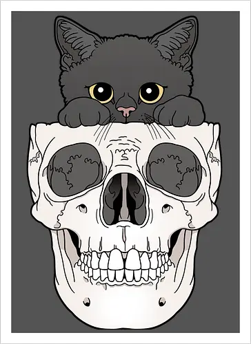 Black Kitty & Skull