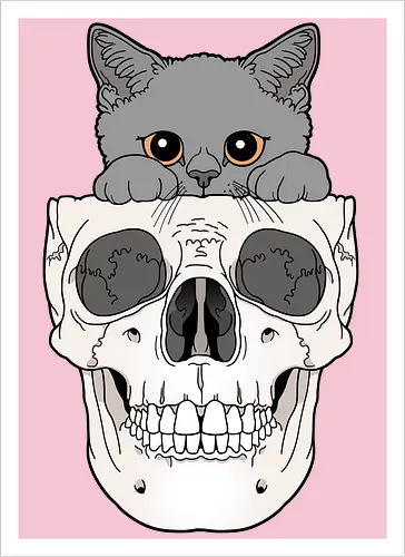 Grey Kitty & Skull