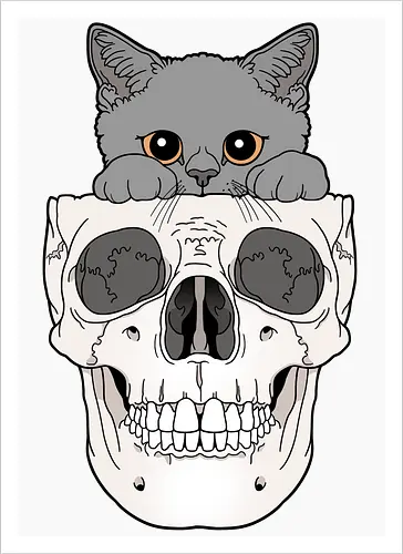 Grey Kitty & Skull