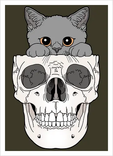Grey Kitty & Skull
