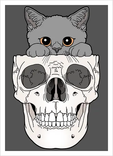 Grey Kitty & Skull