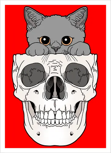 Grey Kitty & Skull