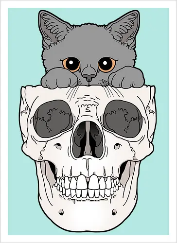 Grey Kitty & Skull