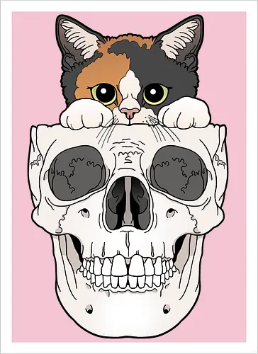 Calico Kitty & Skull