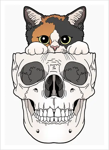 Calico Kitty & Skull