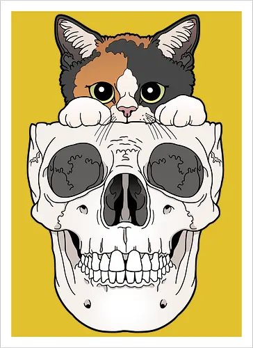 Calico Kitty & Skull