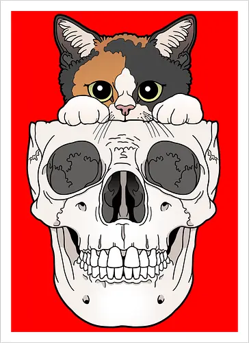 Calico Kitty & Skull