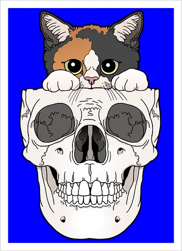 Calico Kitty & Skull