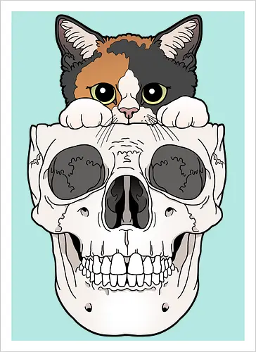 Calico Kitty & Skull