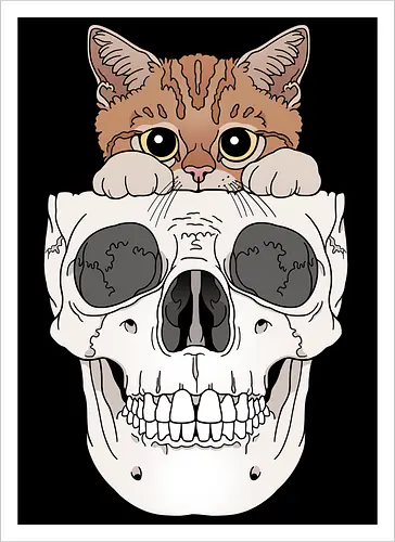 Orange Kitty & Skull