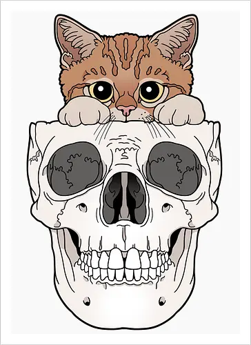 Orange Kitty & Skull